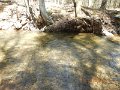 $FowlersHollowStatePark051$