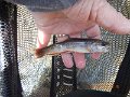 $FowlersHollowStatePark056$