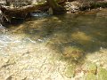 $FowlersHollowStatePark060$