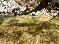 $FowlersHollowStatePark063$