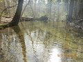 $FowlersHollowStatePark068$