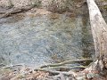 $FowlersHollowStatePark088$