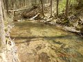 $FowlersHollowStatePark100$