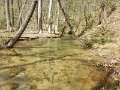 $FowlersHollowStatePark111$