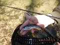 $FowlersHollowStatePark113$