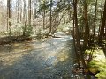 $FowlersHollowStatePark119$