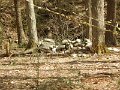 $FowlersHollowStatePark133$