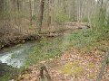 $FowlersHollowStateParkGW006$