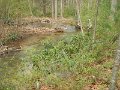 $FowlersHollowStateParkGW007$