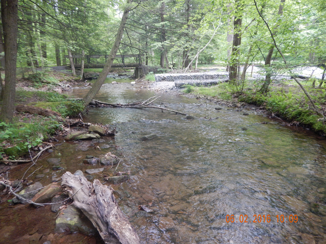 DSCN1396.jpg -                     The water was lower than last week and starting to warm.           