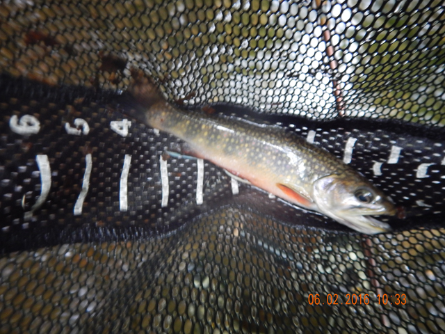 DSCN1401.jpg - But I caught a couple here too!                               