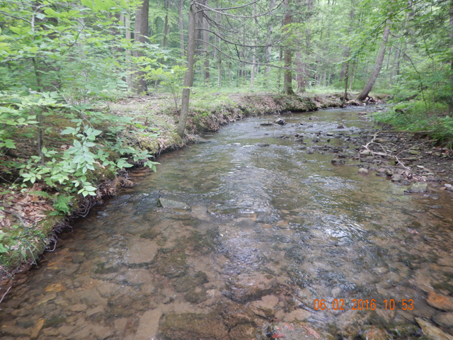 DSCN1403.jpg -                        The water was gin clear and we frightened a few trout on our approach.  Guess we're getting careless.        