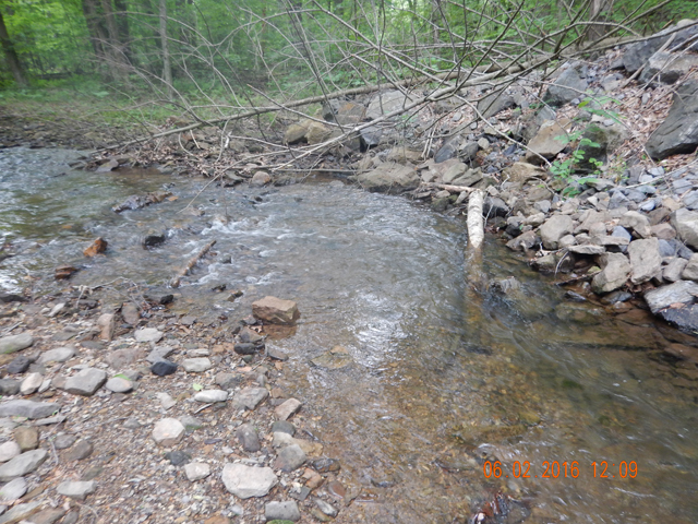 DSCN1410.jpg -                        This area just looks like it would hold brookies.  And, it did.        