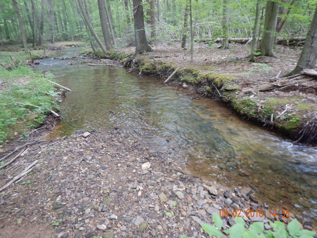 DSCN1417.jpg -                                Another nice little run.