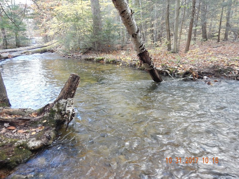 DSCN2737.jpg - And, for those who have fished this area with me you'll reconize the location.  Now, however there's just a bunch more water.