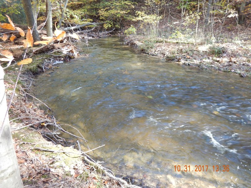 DSCN2740.jpg - Here is where that little guy was living.  Lots of water here too!  We only fished for about 3 hours and the fish were not jumping on the hook.