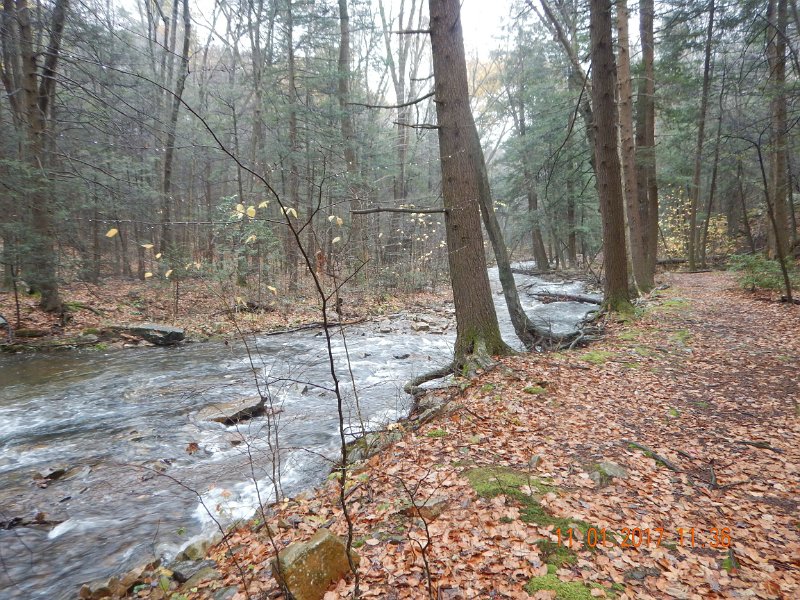 DSCN2760.jpg - Here is a pic of a normally calm stream.  Sure, it has some riffles but they were much larger today.