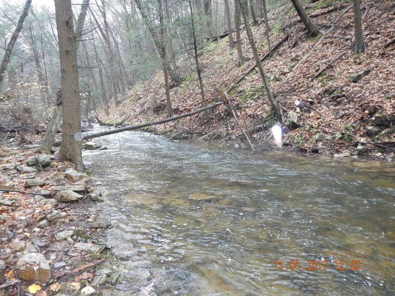 DSCN2764.jpg - That last fish came out of this run.  Usually knee deep it is now closer to waist deep.