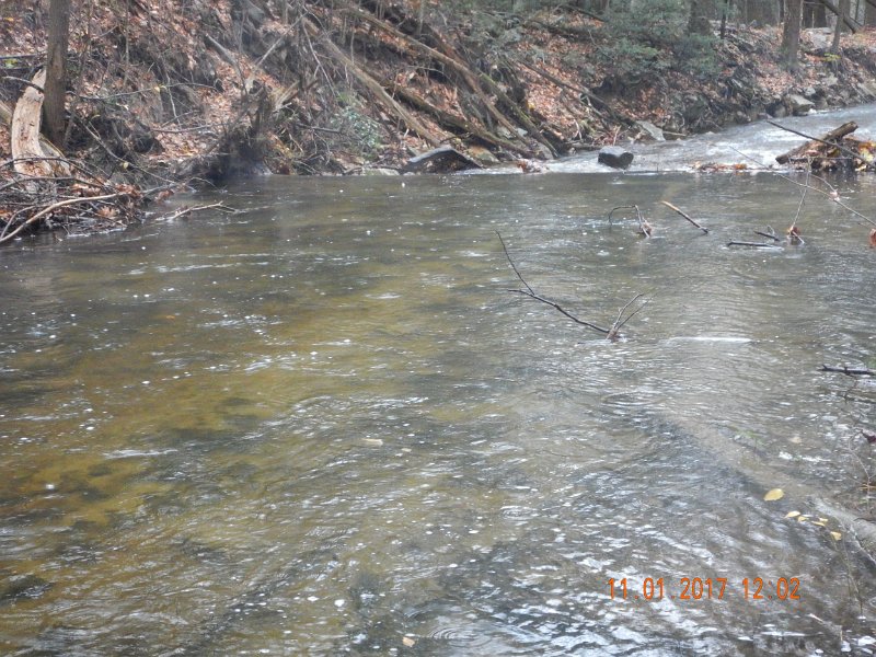 DSCN2765.jpg - Couldn't see any redds just yet.  Hell, maybe the water washed them all away.