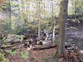 DSCN2743