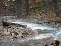 DSCN2771