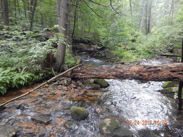 DSCN2235.jpg -                                Fowlers Run isn't the easiest Run to fish.  Certainly, long casts are out of the question.