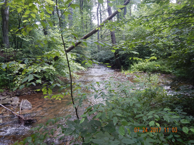 DSCN2238.jpg -                                Really is a pretty stream
