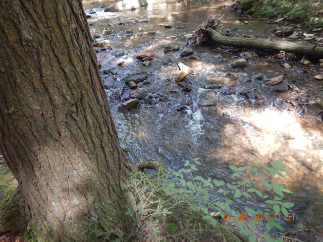 DSCN2264.jpg -                                No casting here...just drop the fly in the water.
