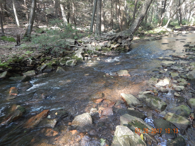 DSCN2281.jpg -                                The runs on Laurel are deeper and narrower but even so, the water lever had retreated a good 2 to 3 inches just today.