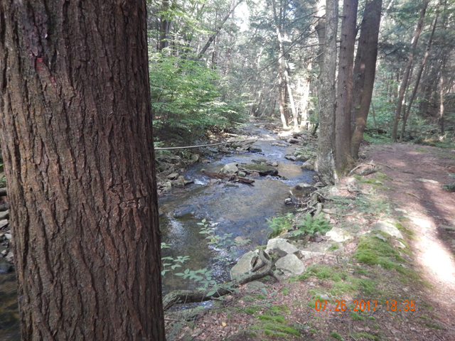 DSCN2284.jpg -                                This is a beautiful stream.