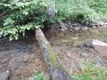 DSCN2237
