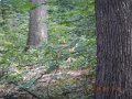 DSCN2240