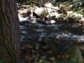 DSCN2260