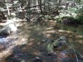 DSCN2266