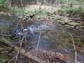 DSCN2271