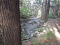 DSCN2284