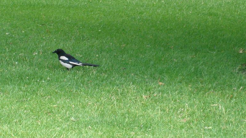 DSC02070.JPG