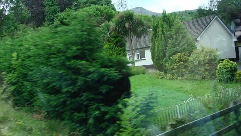 DSC02090.JPG