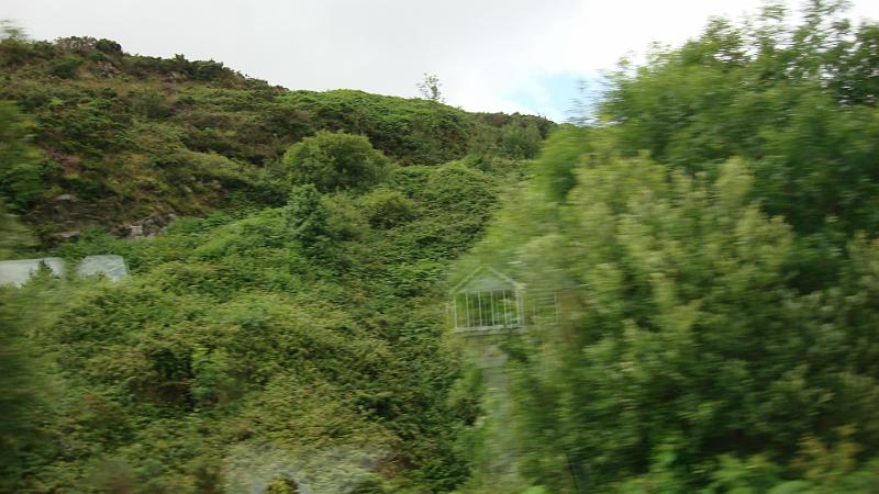DSC02092.JPG