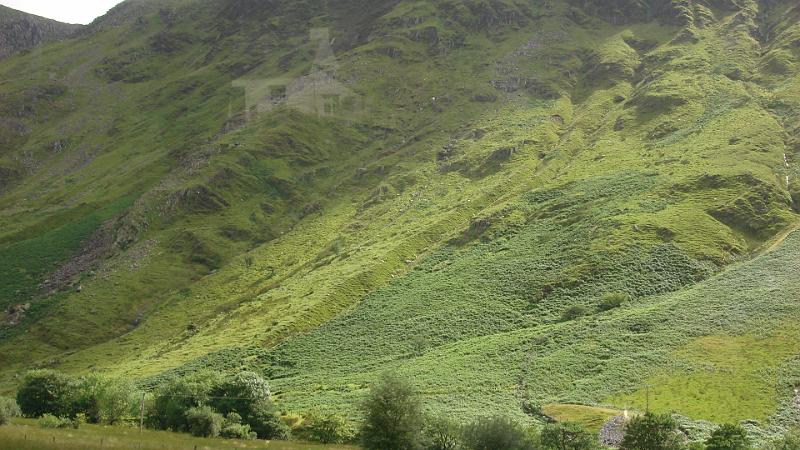 DSC02158.JPG