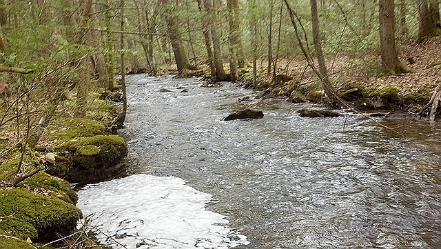 IMG_20140411_093203_009.jpg