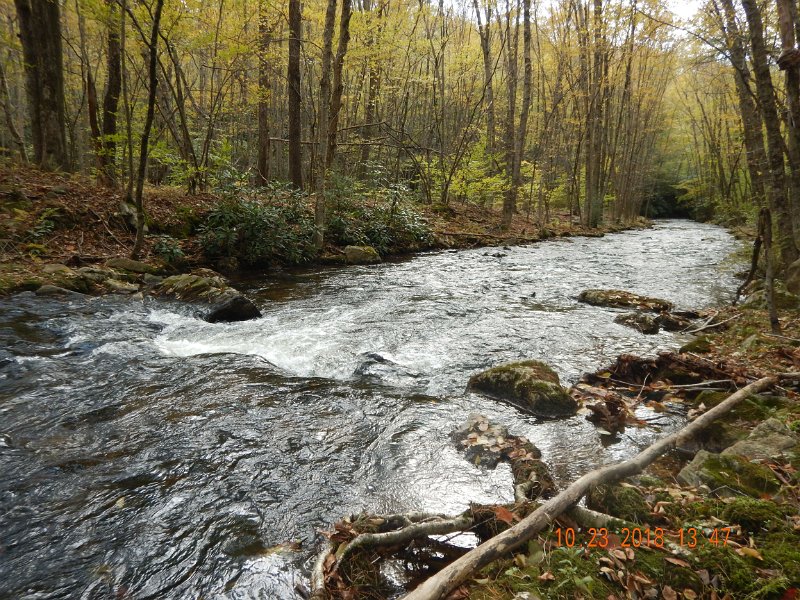 $HickoryRun004$.jpg - I know, hard to believe I didn't touch a fish through this run. But, nada.