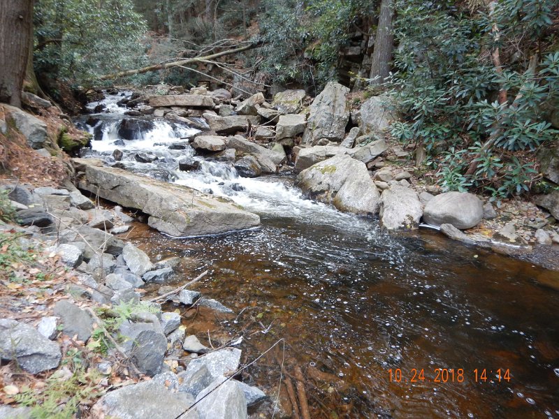 $HickoryRun021$.jpg - Got one fish from this stretch.  Usually I can pull a pretty male from here....not today.