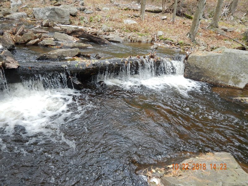 $HickoryRun025$.jpg - All of the fish were pulled from deep pools.  Water was higher than normal and fish seem to have gone into their winter habits already.