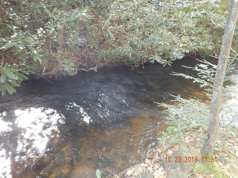 $Spring Creek001$.jpg - And, he was in this deep pool.