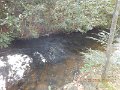 $Spring Creek001$