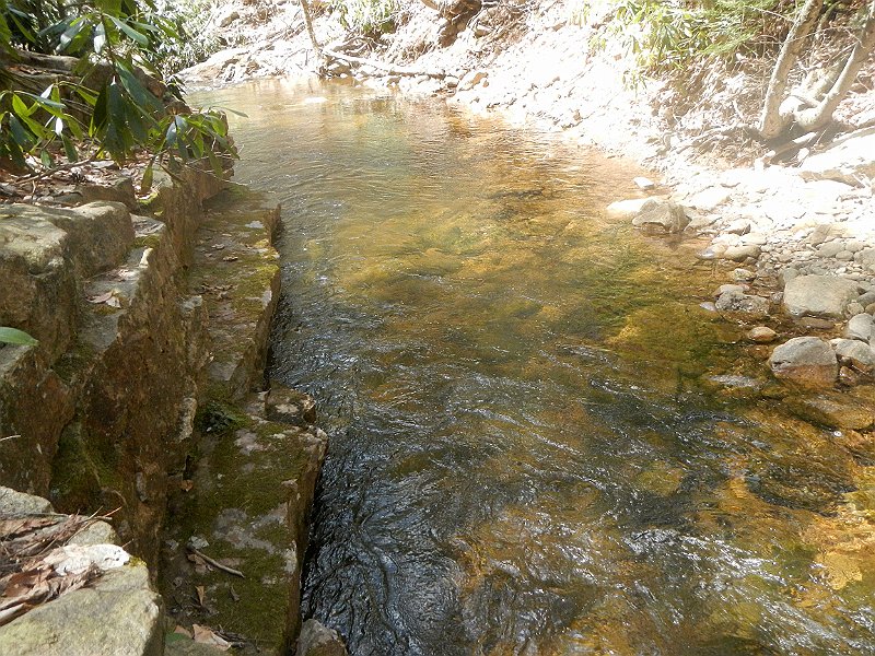 DSCN1731.jpg