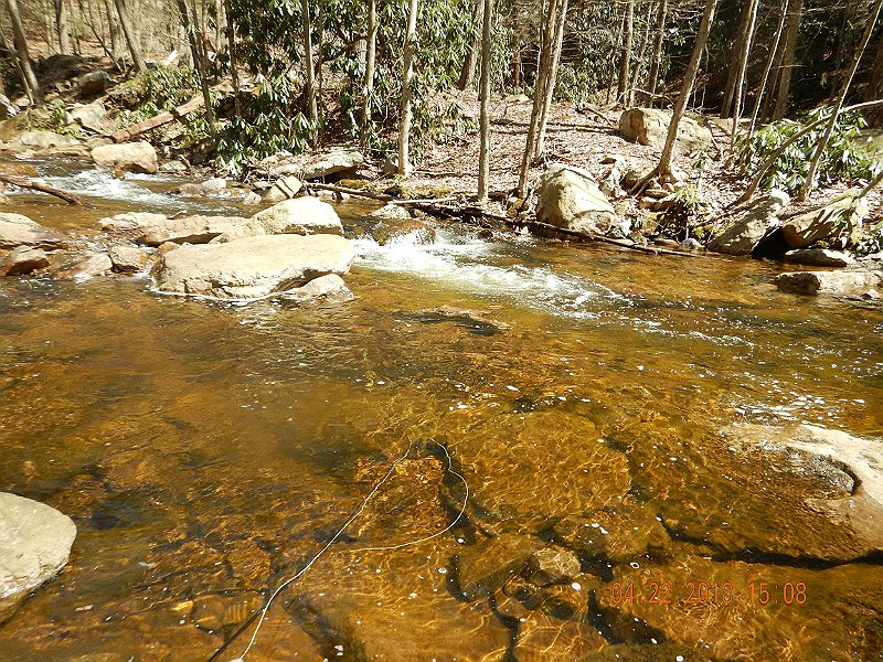 DSCN3058.jpg