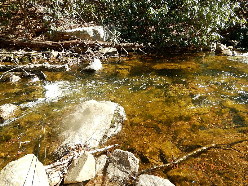 DSCN3075.jpg
