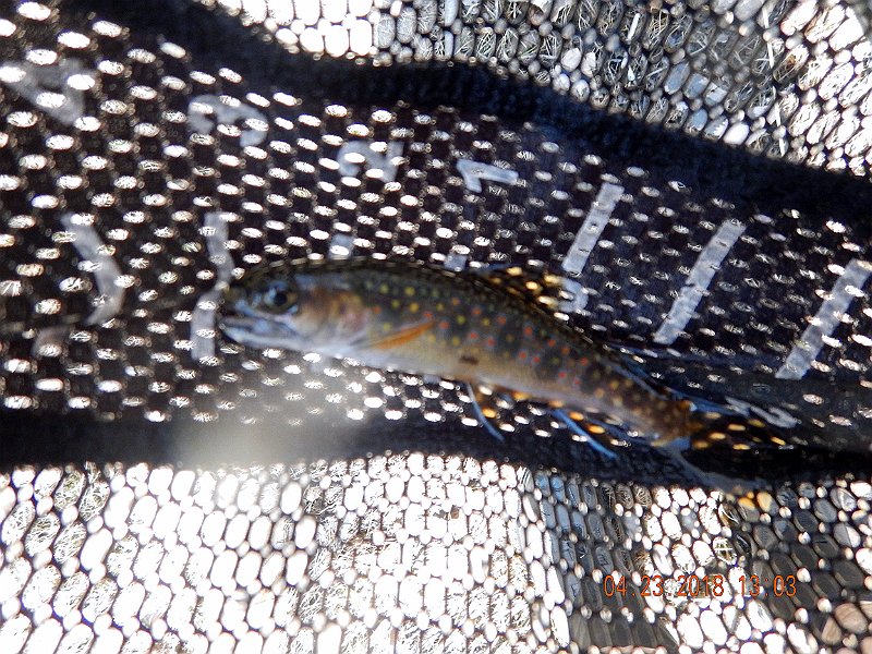 DSCN3079.jpg